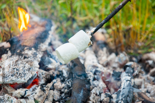 Marshmallow fried on a fire. On a stick. In the summer on vacation. White and toasted