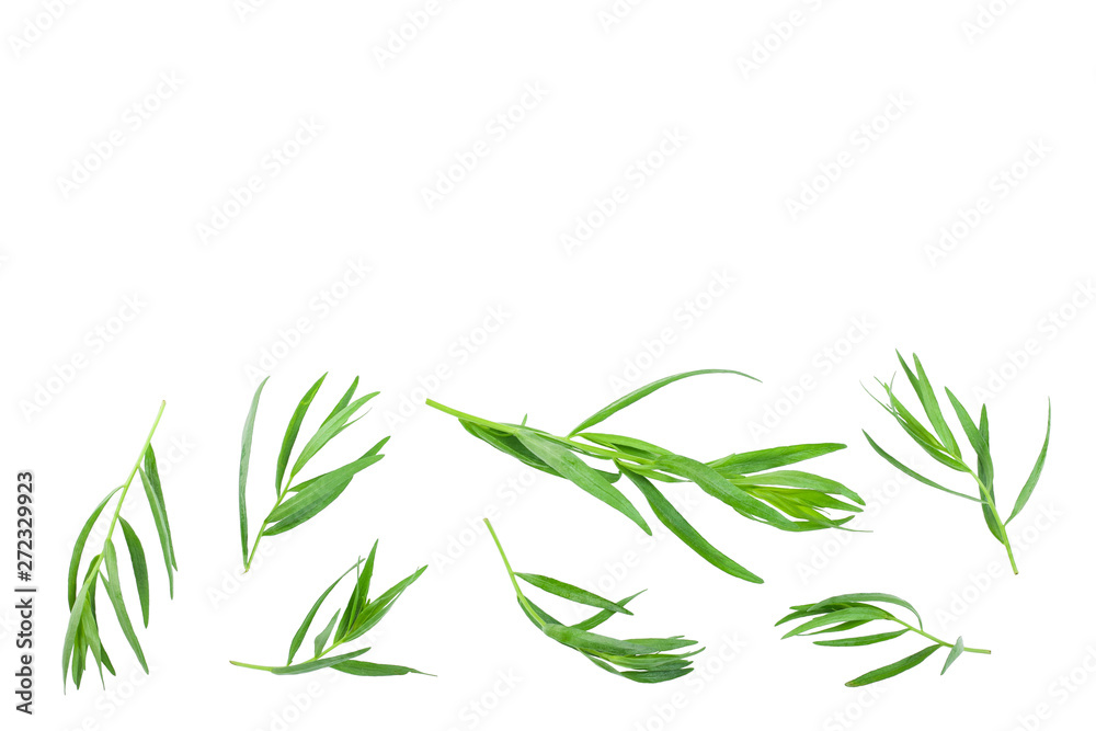 Naklejka premium tarragon or estragon isolated on white background with copy space for your text. Artemisia dracunculus. Top view. Flat lay
