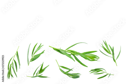 Fototapeta Naklejka Na Ścianę i Meble -  tarragon or estragon isolated on white background with copy space for your text. Artemisia dracunculus. Top view. Flat lay