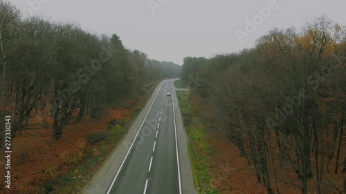 Slow motion aerial view of car driving on country road in forest drone forest road car nature flight fly helicopter rural shot top transport travel tree automobile country drive landscape trip