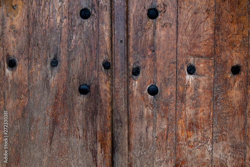 antique wooden door with black rivets. Rusty nails in an old wooden door. background - vintage tree. © Olesya