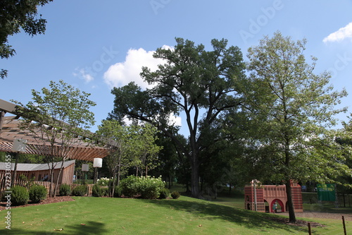 The Learning Tree at Tulsa's Gathering Place Park