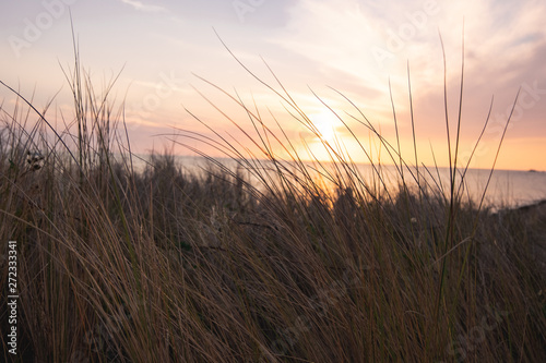 sun setting with beach grass