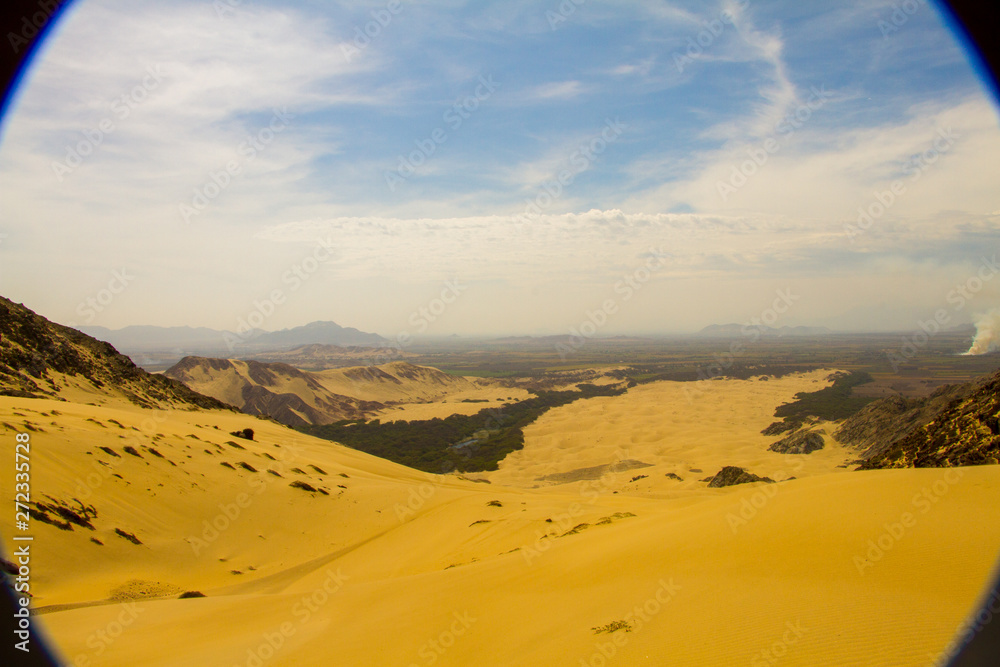 Fototapeta premium Desierto