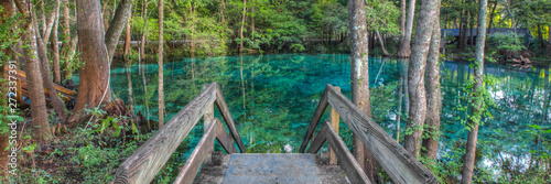 Minnie springs peace