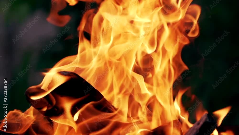 Campfire In The Night. Beautiful fire burns brightly. Embers of the fire climb up. Red flames surging up. Campfire In The Night. Beautiful fire burns brightly. Embers of the fire climb up. Red flames surging up.