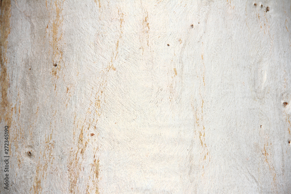 Abstract Tree bark texture. Natural wood background.
