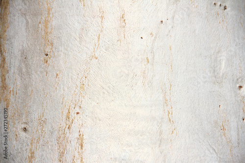 Abstract Tree bark texture. Natural wood background.
