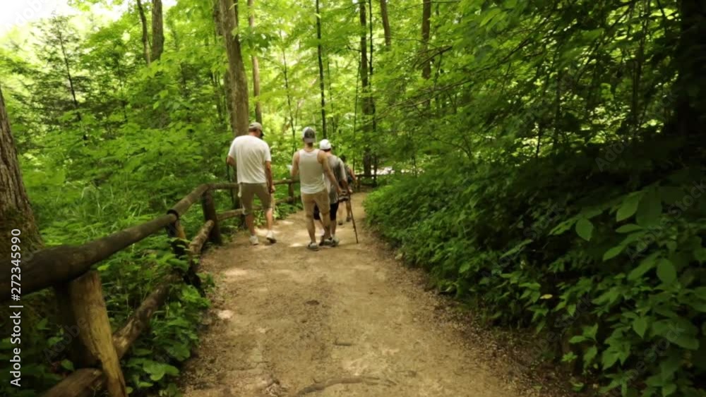Hikers on State Park Trail Hikers on State Park Trail
