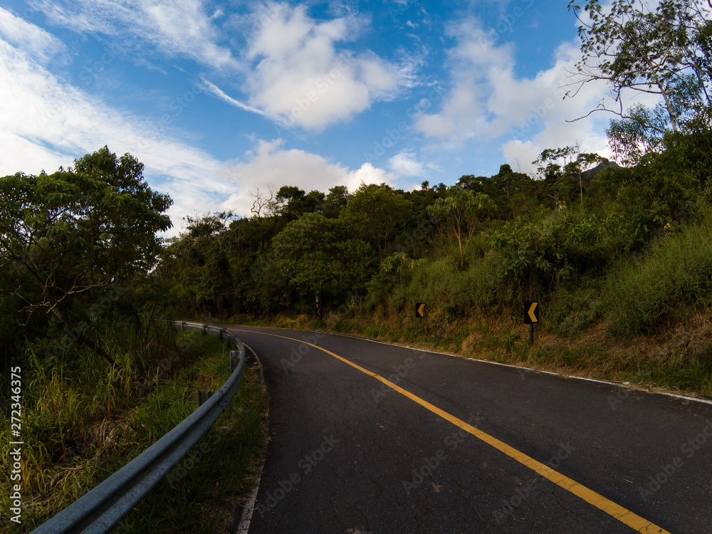 Fototapeta premium Curve on the road, green foliage and blue sky