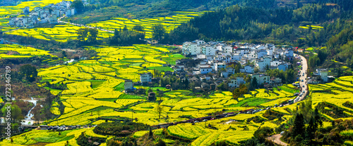 Photos Spring rape blossoms in the mountain village in Wuyuan, Shangrao, Jiangxi, China