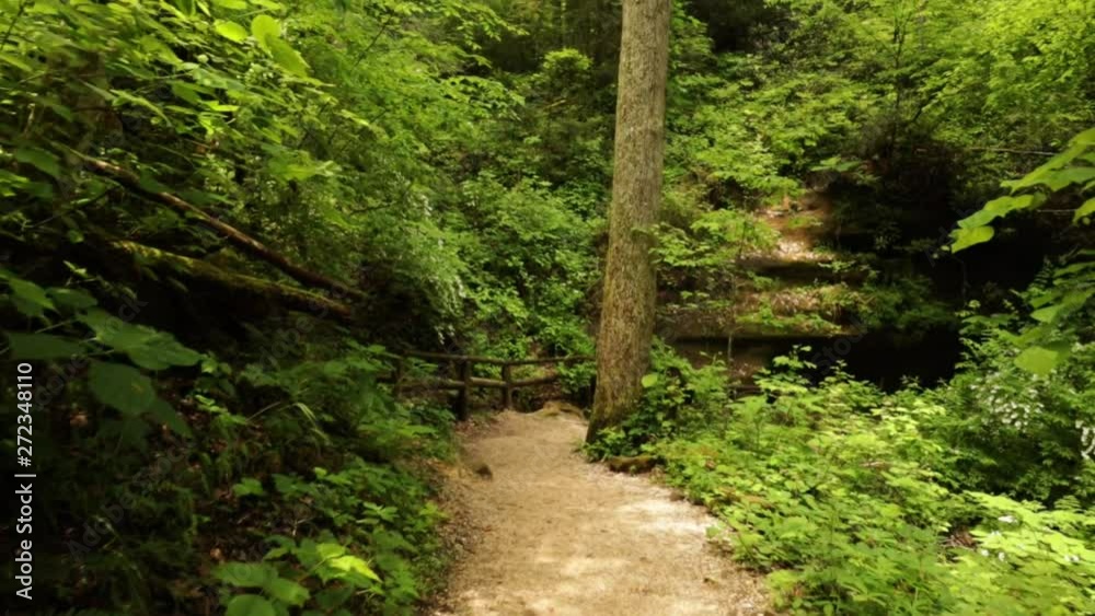 Nature Hike at Natural Bridge State Park, Kentucky Nature Hike at Natural Bridge State Park, Kentucky