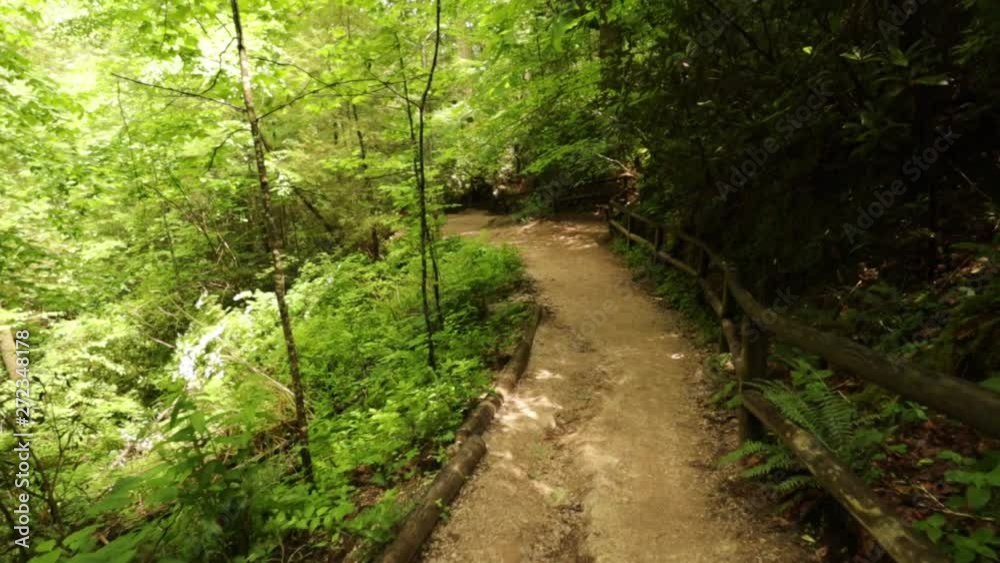 Nature Hike at Natural Bridge State Park, Kentucky