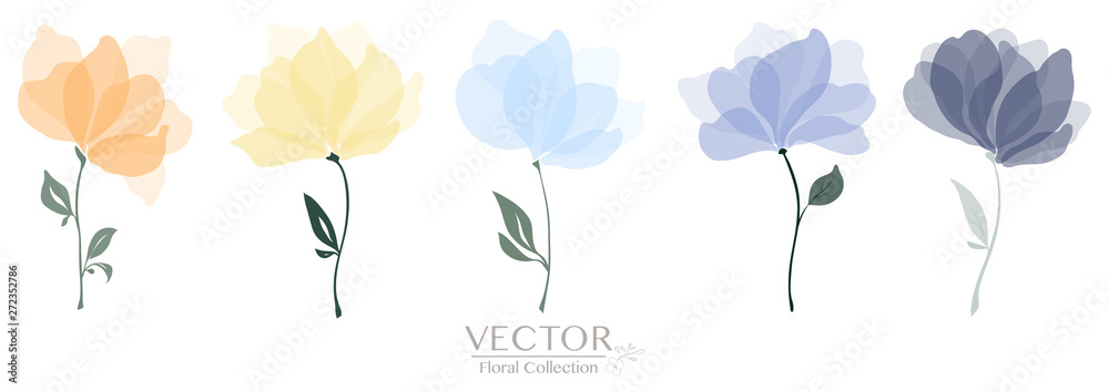 Set of colorful floral collection - obrazy, fototapety, plakaty 