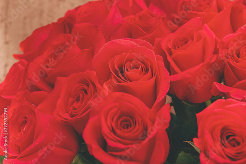 close up   red rose flower buds