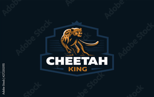 The image of a cheetah.