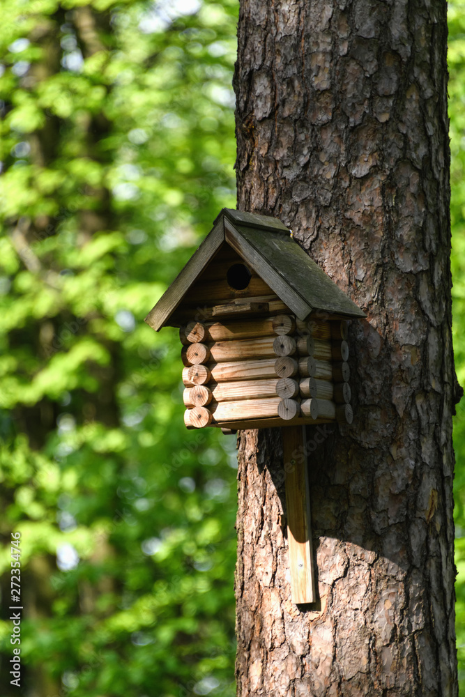 Birdhouse on a tree in the park in spring, birdhouse handmade for birds. Birdhouse on a tree in the park in spring, birdhouse handmade for birds.