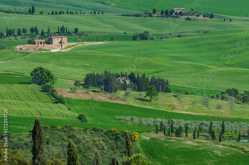 Idyllic view of rural landscape in Tuscany, Italy