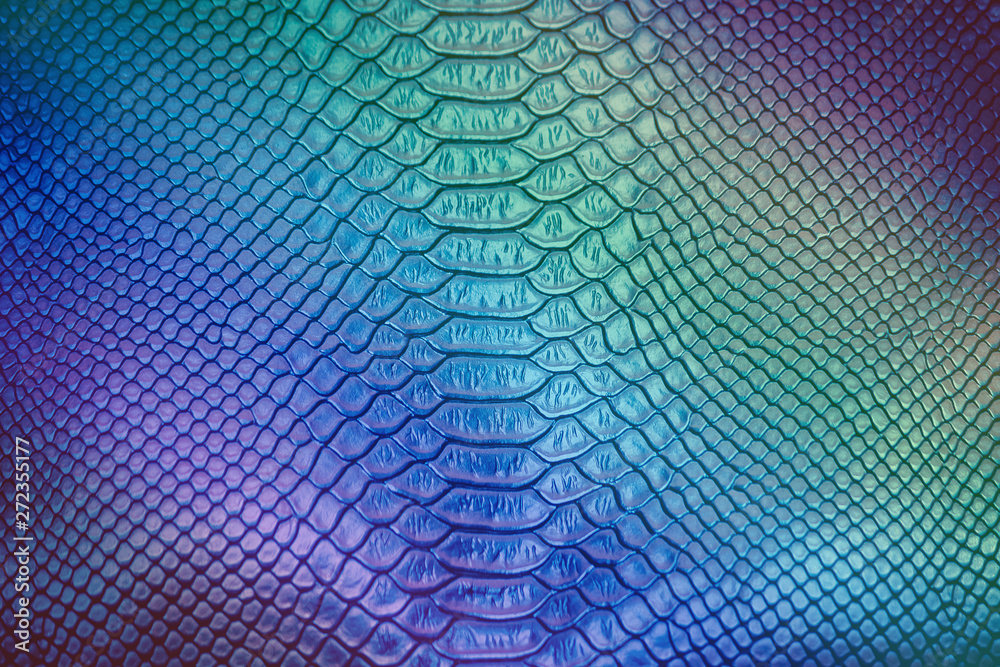 Close up of Luxury snake skin texture Close up of Luxury snake skin texture
