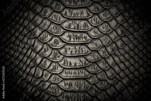 Black snake skin pattern texture