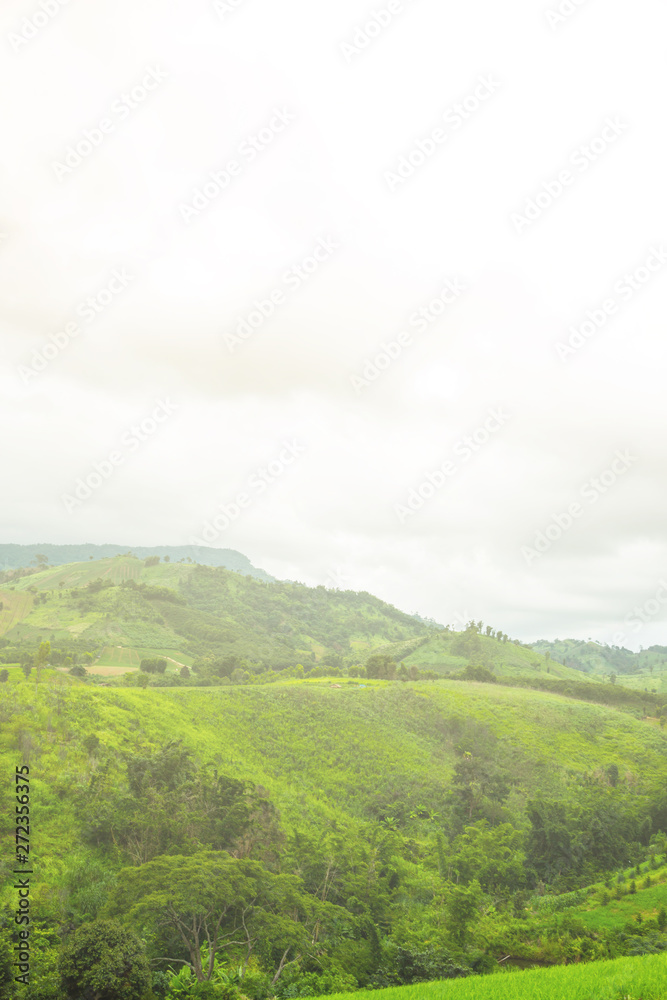 Fototapeta premium Green hills and sky