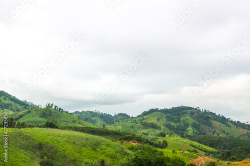 Green hills and sky