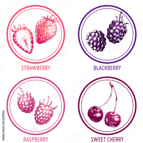 Hand drawn illustration of blackberry, raspberry, strawberry and cherry isolated on white background in round frames. Vector engraving fruit set.