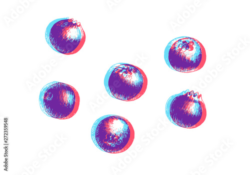 Hand drawn illustration of blueberry isolated on white background. Vector engraving fruit sketch. Anaglyph 3d stereo effect.