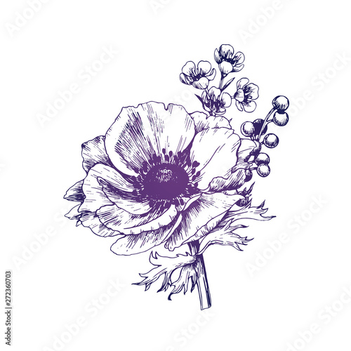 Hand drawn anemone boutonniere.  Isolated outline flowers against white background.