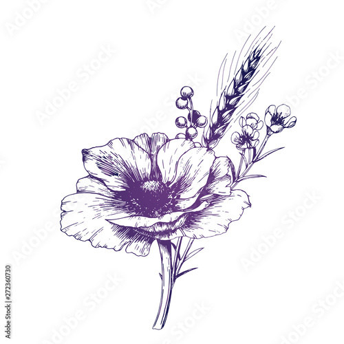 Hand drawn anemone boutonniere.  Isolated outline flowers against white background.