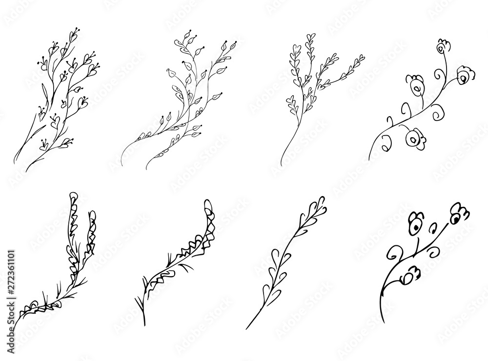Obraz premium Flowers and branches hand drawn collection isolated on white background. Floral graphic elements big set. Doodle style