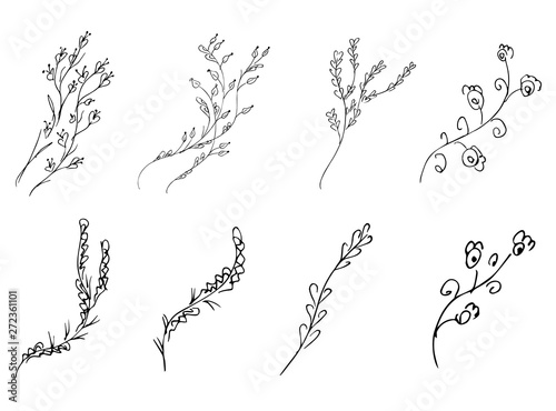 Flowers and branches hand drawn collection isolated on white background. Floral graphic elements big  set. Doodle style
