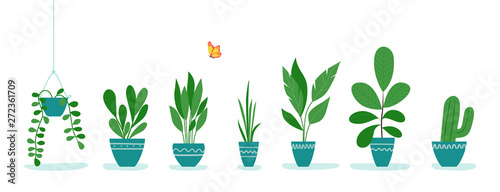 Plakat Zestaw roślin biurowych w doniczkach. Ilustracja wektorowa płaski