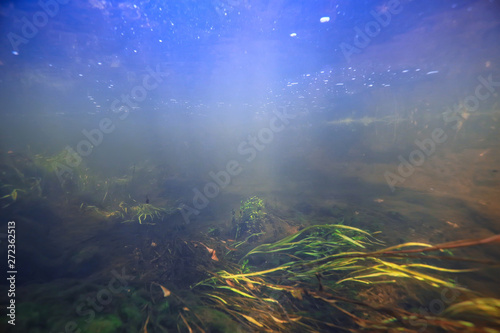 underwater landscape transparent lake / fresh water ecosystem unusual landscape under water © kichigin19