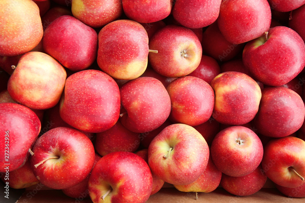 pile of red ripe apples pile of red ripe apples