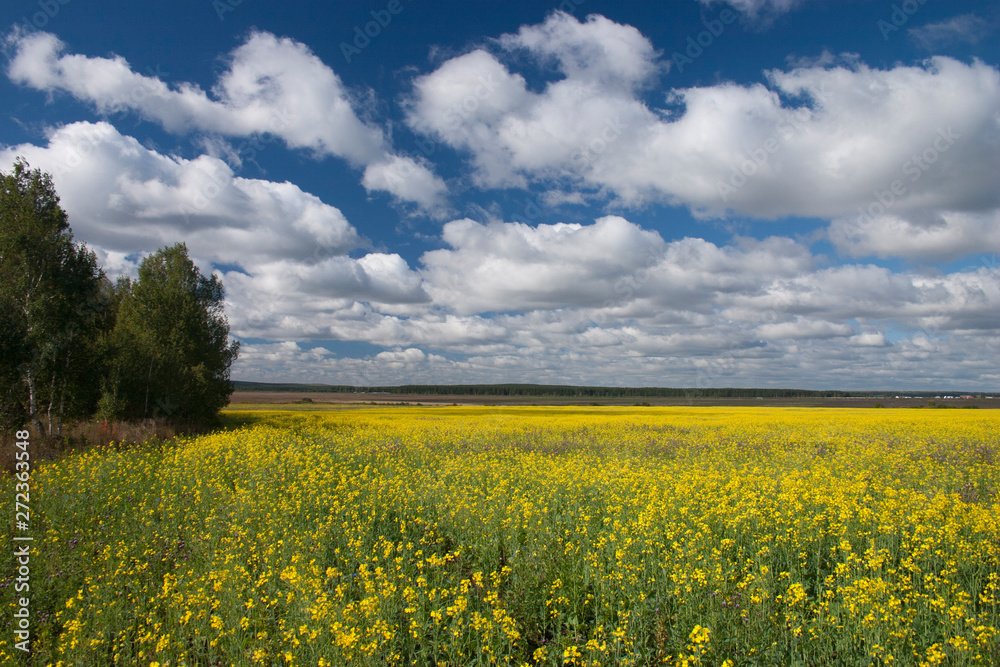 Obraz premium Mother Earth