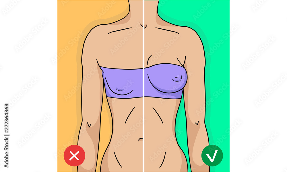 Comparison of woman breast before and after training or surgery in simple  modern flat style Stock Vector