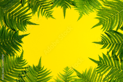 Fern leaves or palm trees on a yellow background. Concept of the tropics. Copy space. Flat lay, top view