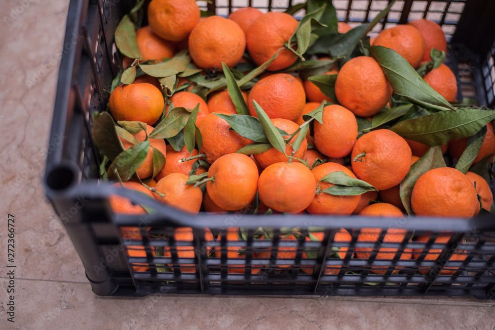 Orange tangerines or Clementines fruit with leaves for sale on market. In a plastic basket.