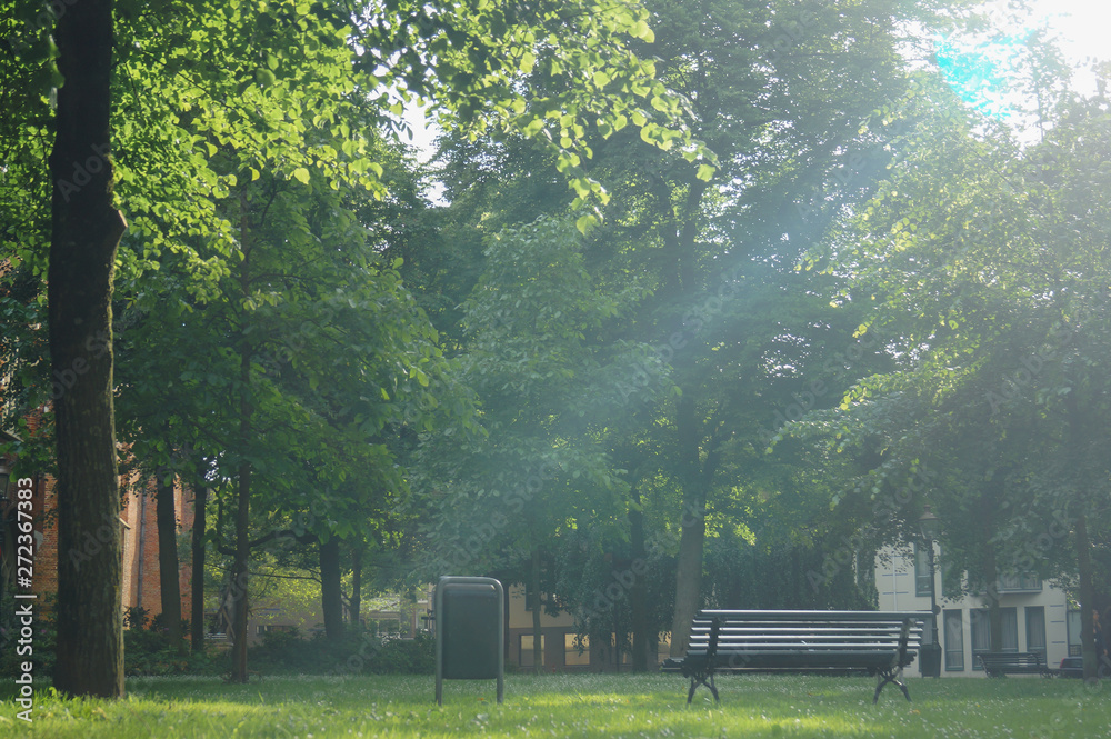 park bench at sunset, in groningen, the netherlands