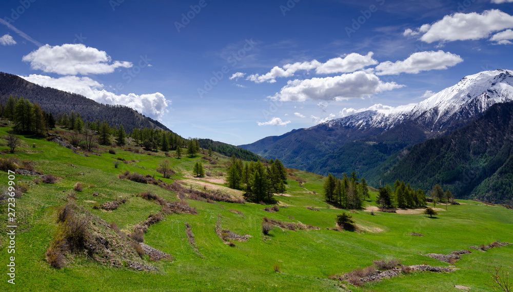 Panorama di Montagna Alpi