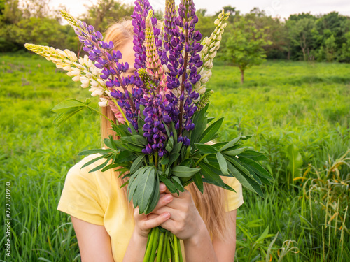 A bouquet of lupines in the hands of a young girl.