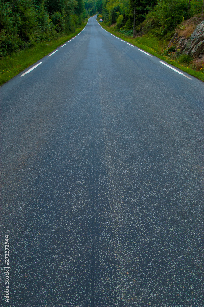 Obraz premium View of a long, wet road with white stripes on the sides.