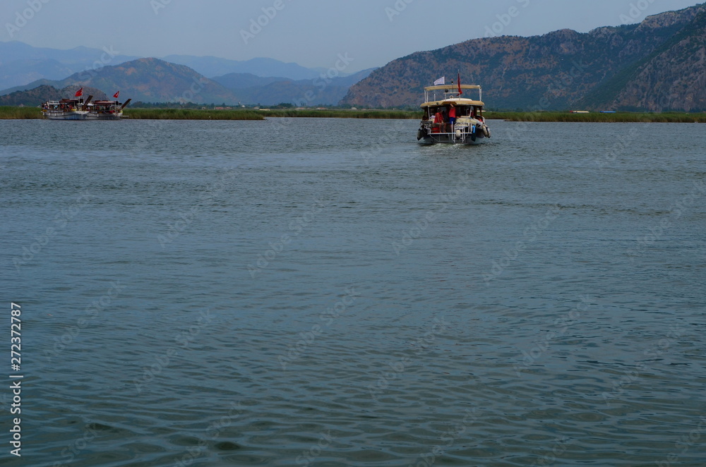 turtle island and green Dalyan river in Turkey