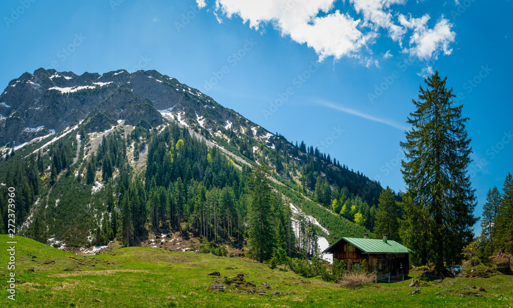 Blick auf die Alpen Blick auf die Alpen