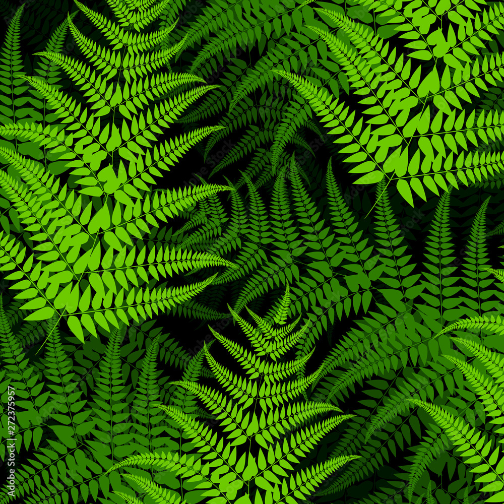 Fern pattern 2 Fern pattern 2