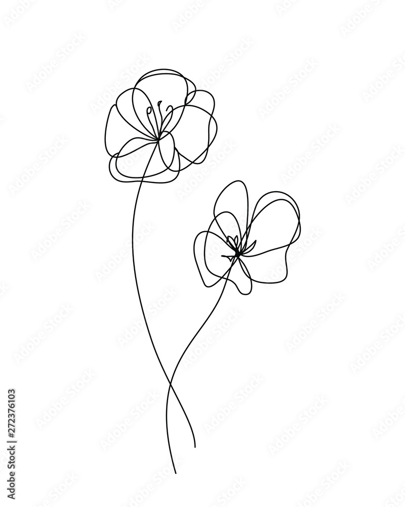 Poppies flower. Continuous line drawing. Abstract minimal poppy Stock ...