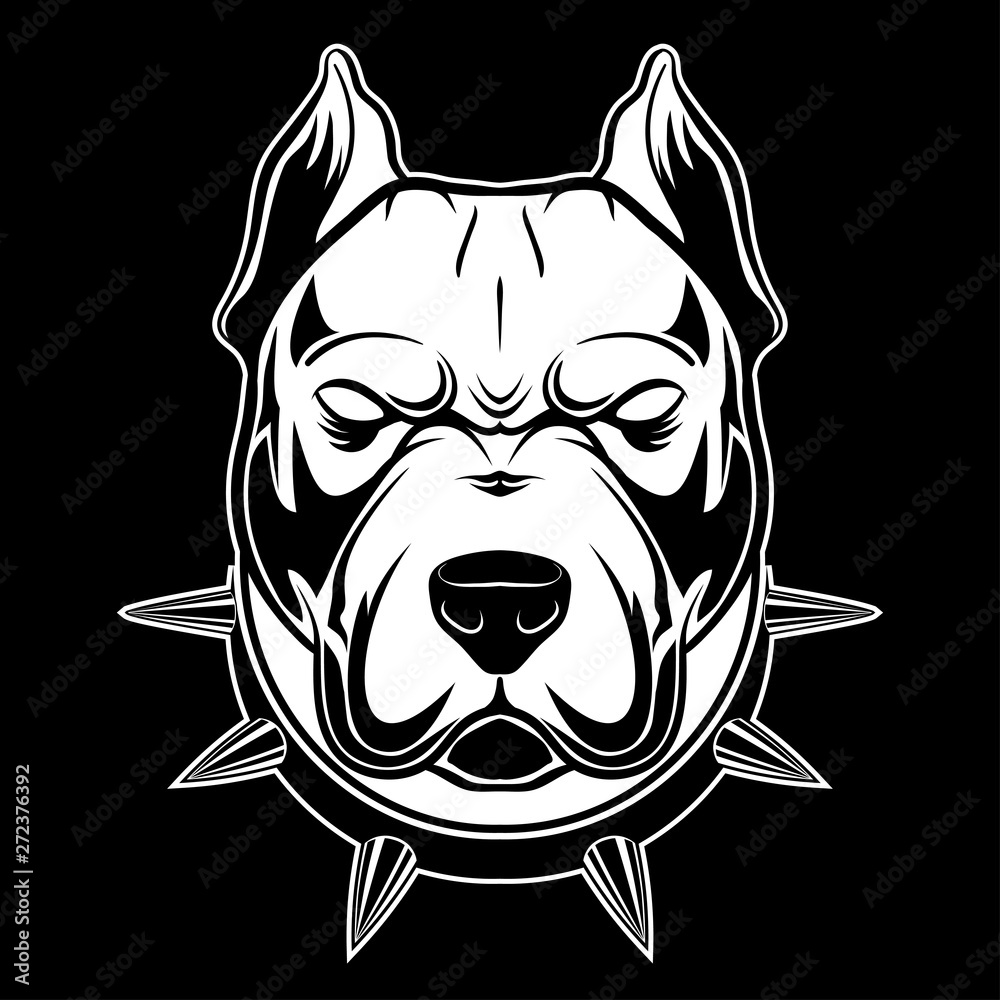 Obraz premium pitbull_1