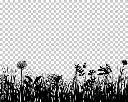 Meadow silhouette