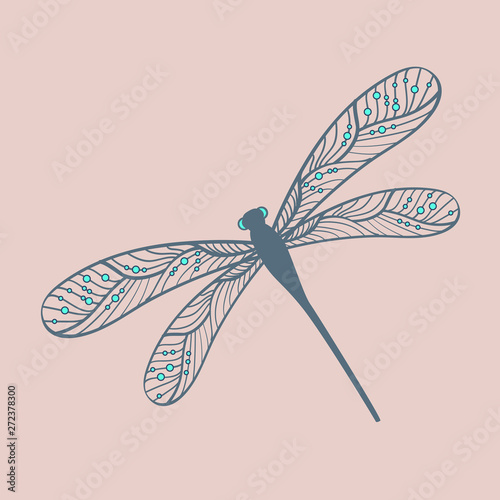 illustration with hand drawn dragonfly